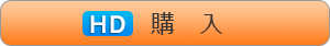 HD購入